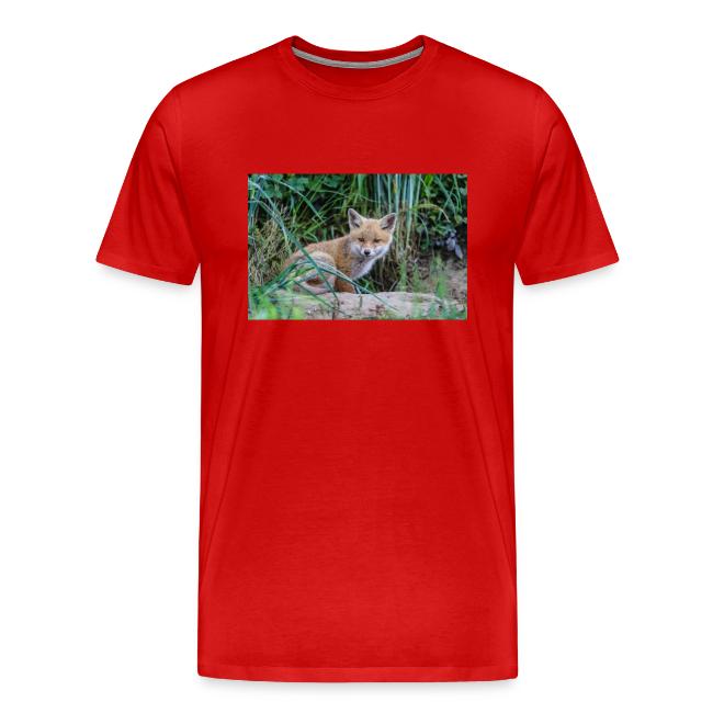fox