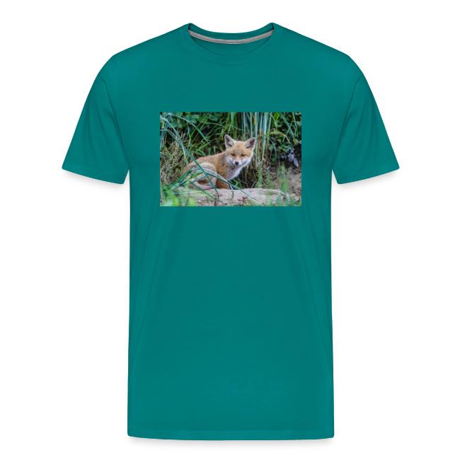 fox