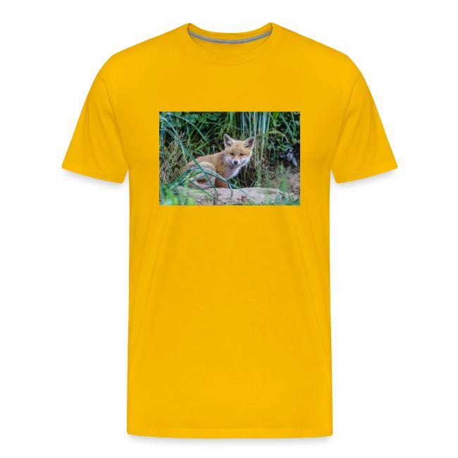 fox