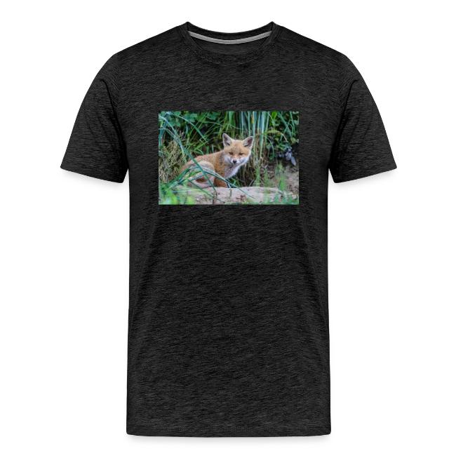 fox