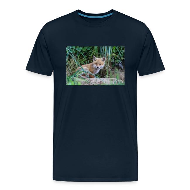 fox