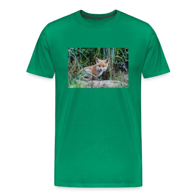 fox