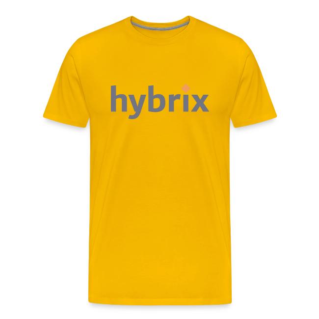 Hybrix logo