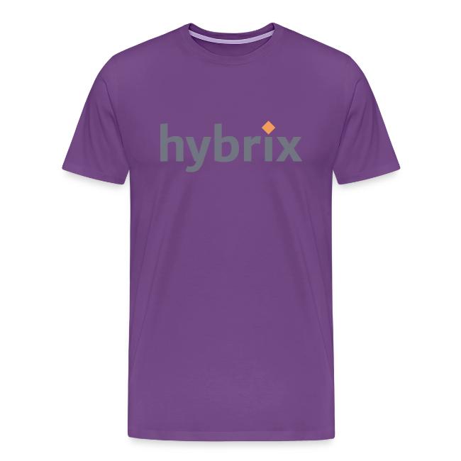 Hybrix logo