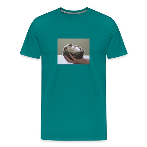 herisson main - Men's Premium T-Shirt