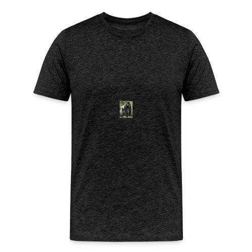 flx out louiz - Men's Premium T-Shirt