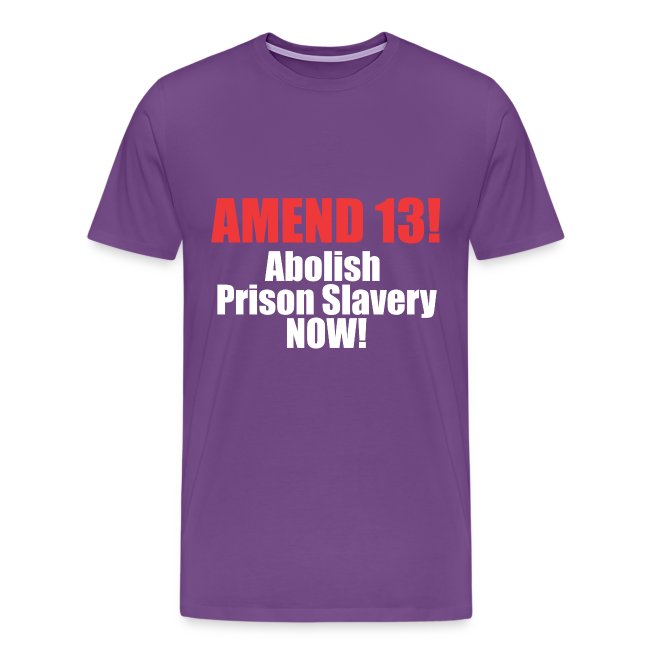 Amend 13 Fitted T-shirt