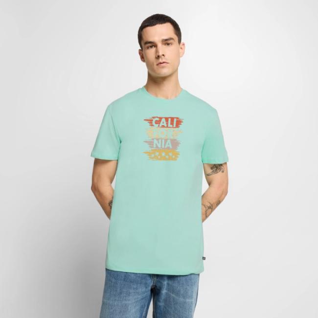 California with palm trees design