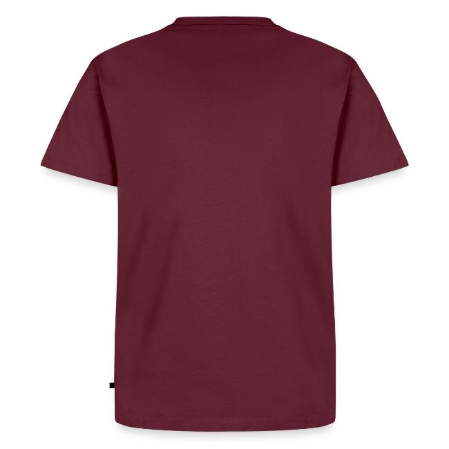 Mermaid dream