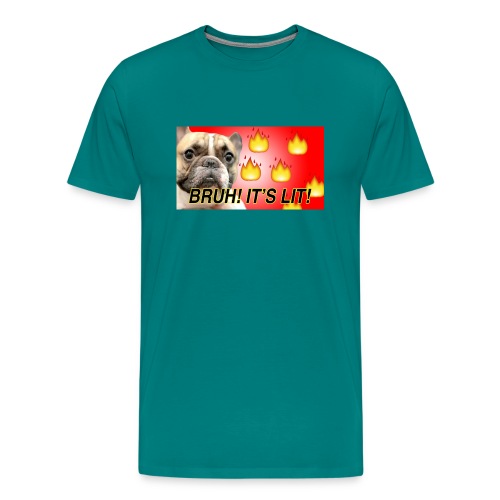 IMG 1465 - Men's Premium T-Shirt