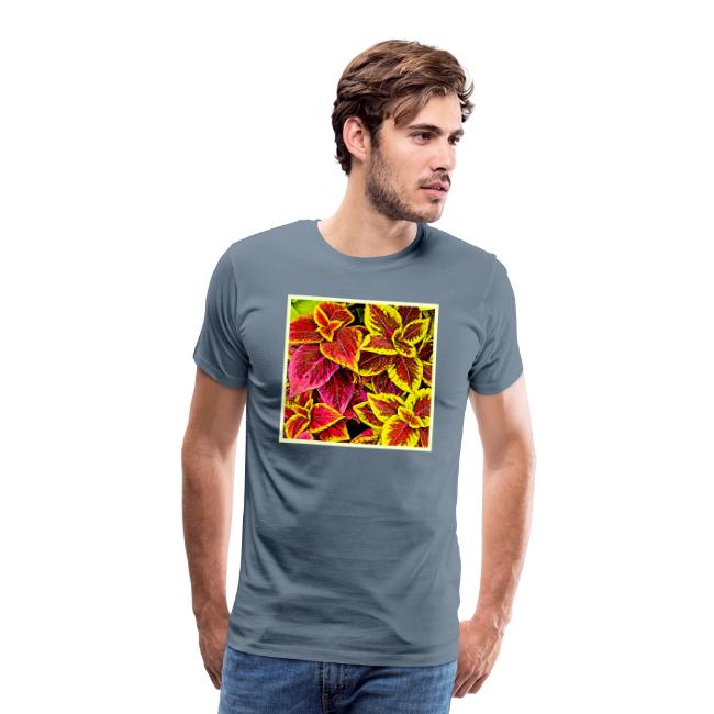 Coleus Leaf Burst Design