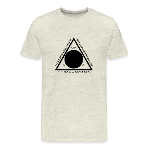 Magic Triangle - Men's Premium T-Shirt