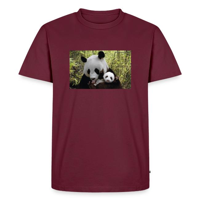 panda