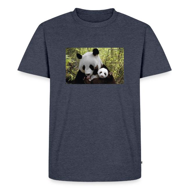 panda
