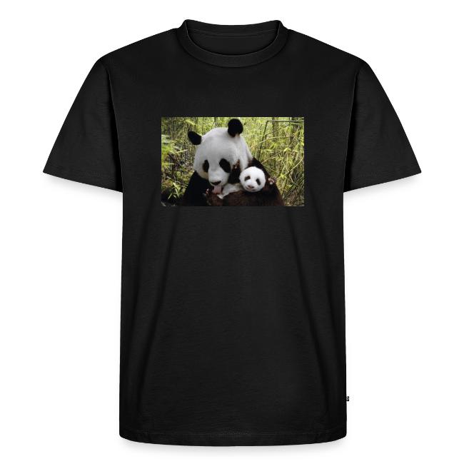 panda