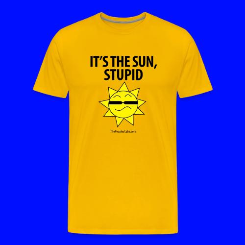 It's the sun, stupid! - Men's Premium T-Shirt