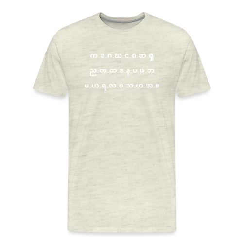 karen alphabet - Men's Premium T-Shirt