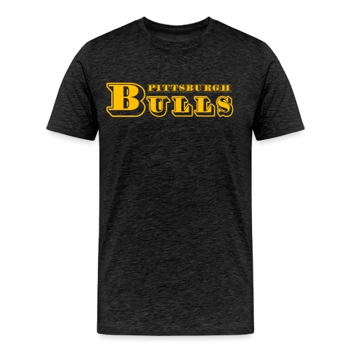 Pittsburgh Bulls - Men's Premium T-Shirt