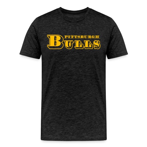 Pittsburgh Bulls - Men's Premium T-Shirt