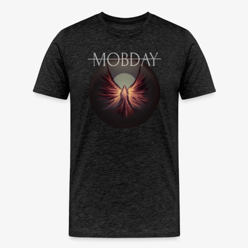 Clarity Artwork - Men's Premium T-Shirt