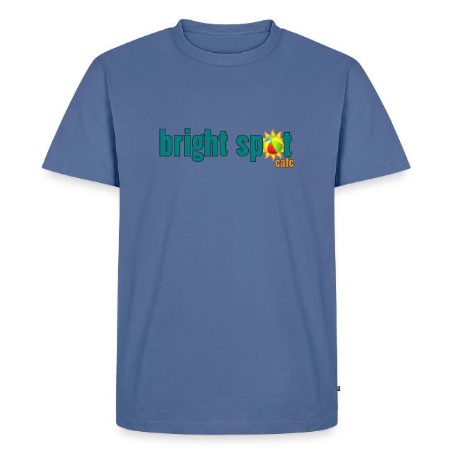 Bright Spot Beach Ball logo
