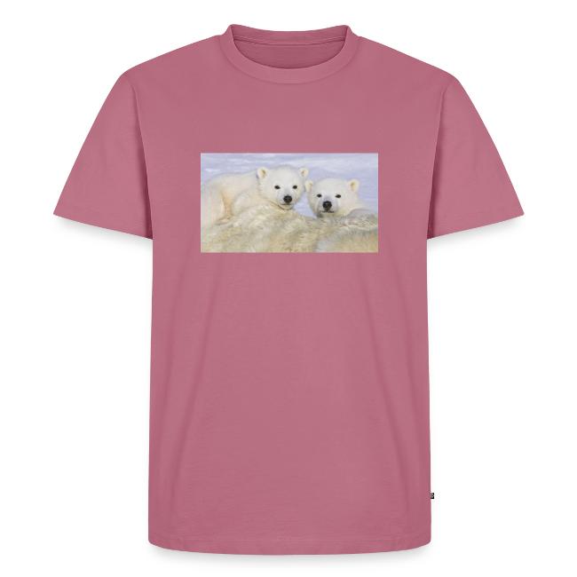 polarbears