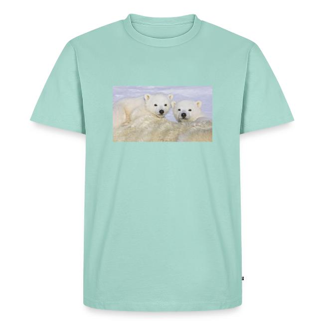 polarbears