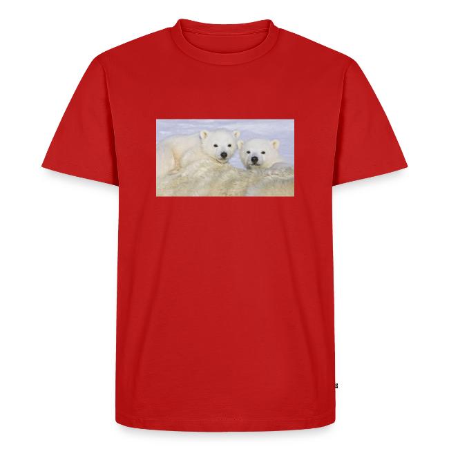 polarbears