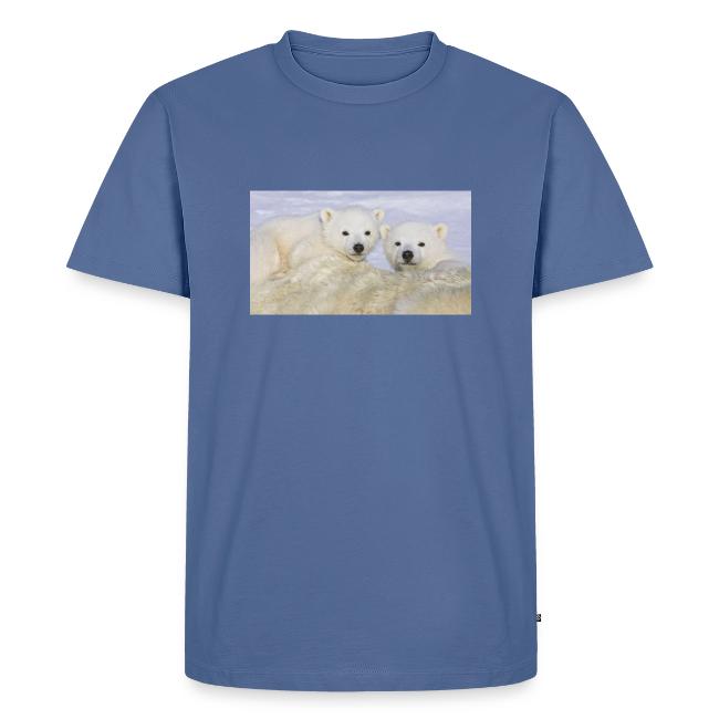 polarbears