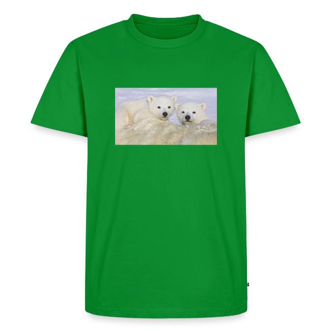 polarbears