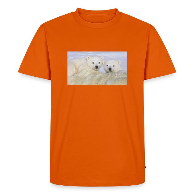 polarbears