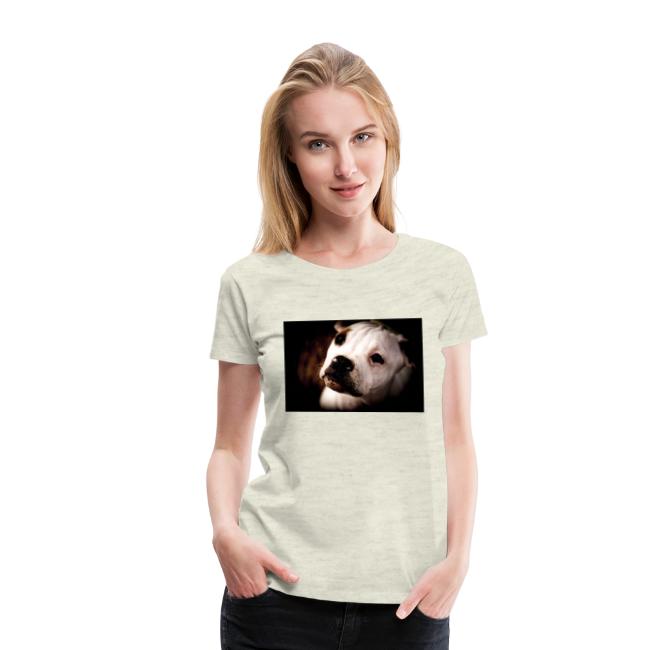 AmericanBullodog (Maybel)