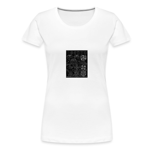 IMG 4492 - Women's Premium T-Shirt