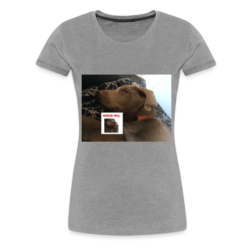 Finn Update - Women's Premium T-Shirt