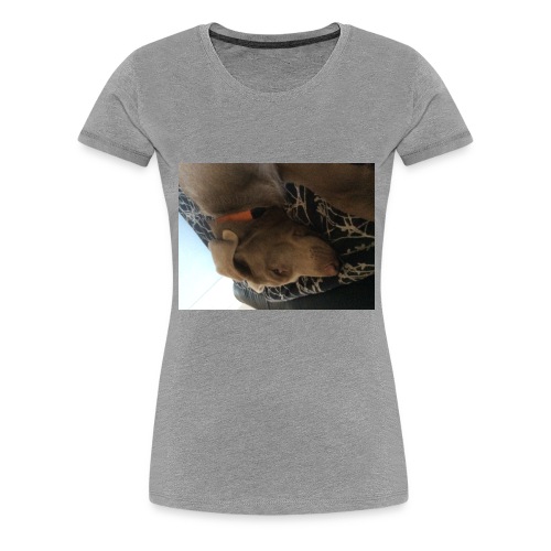 Finn Merch - Women's Premium T-Shirt