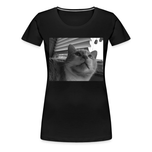 Aesthetically Pleasing Mooney - Women's Premium T-Shirt