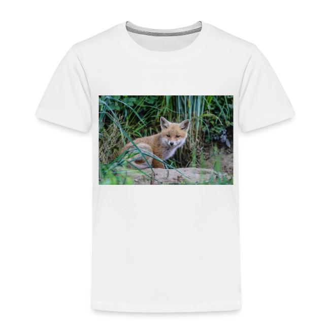 fox