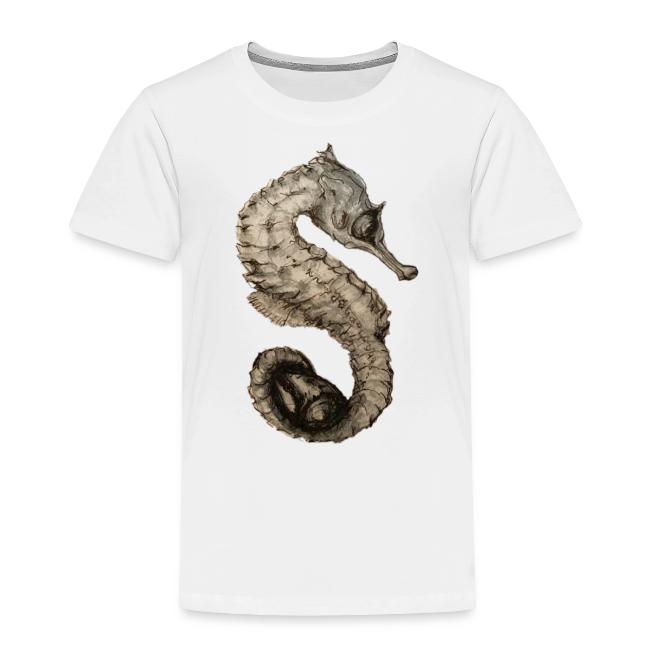 seahorse with sea shell