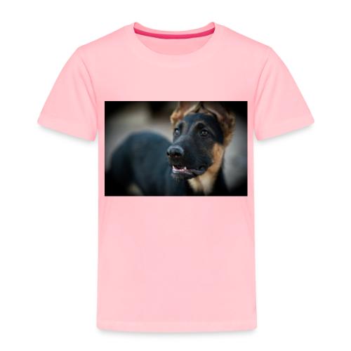 289888654 10221001879384096 5095516172926146445 n - Toddler Premium T-Shirt