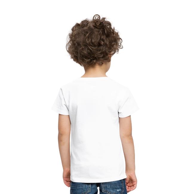 Starship Super-Heavy Lift Launch Vehicle