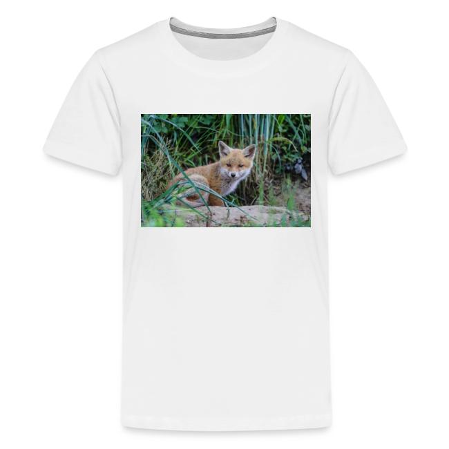 fox
