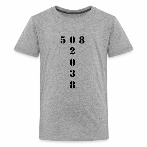 508 02038 franklin area/zip code - Kids' Premium T-Shirt