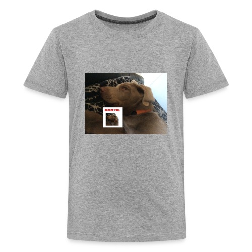 Finn Update - Kids' Premium T-Shirt