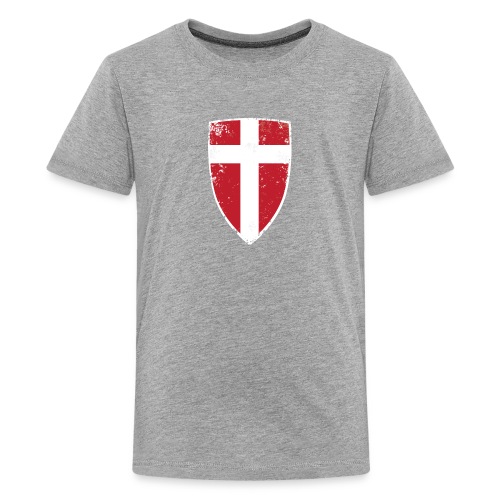 Denmark Flag - Kids' Premium T-Shirt