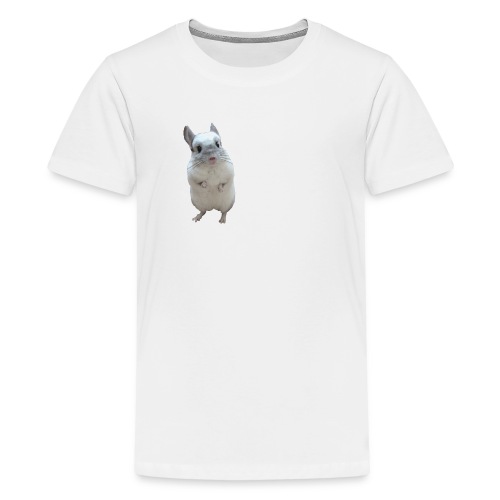 coolfix - Kids' Premium T-Shirt