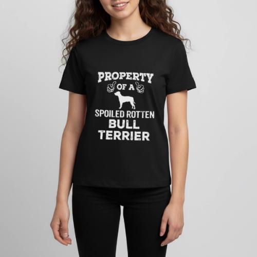Property Of A Spoiled Rotten Bull Terrier Cool - Kids' Premium T-Shirt