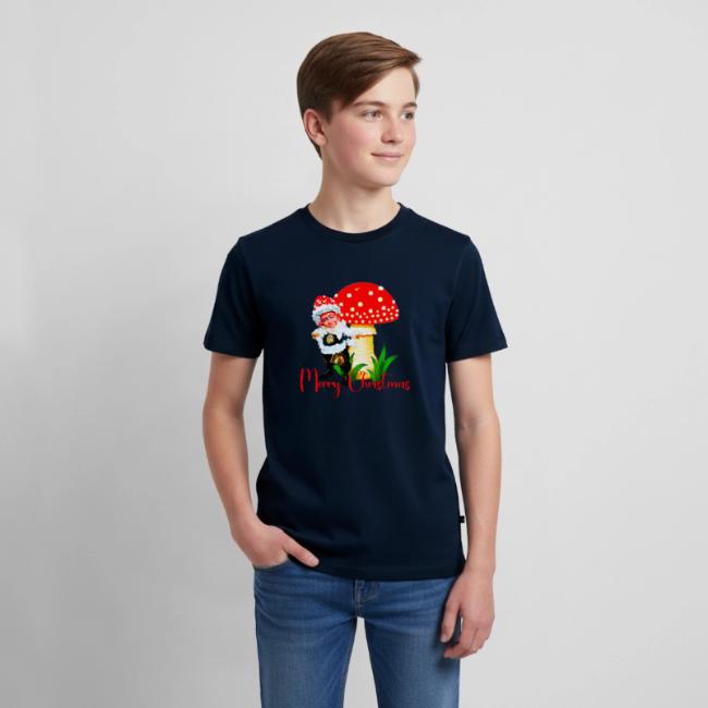 Сhristmas funny gnomes