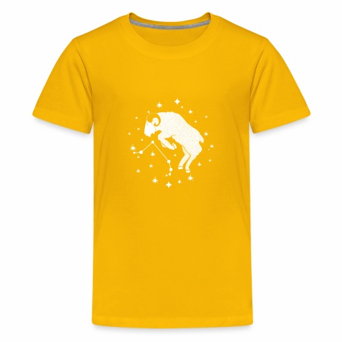 Ambitious Aries Constellation Birthday March April - Kids' Premium T-Shirt