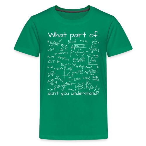 What Part Of (Math Equation) Don't You Understand? - Kids' Premium T-Shirt