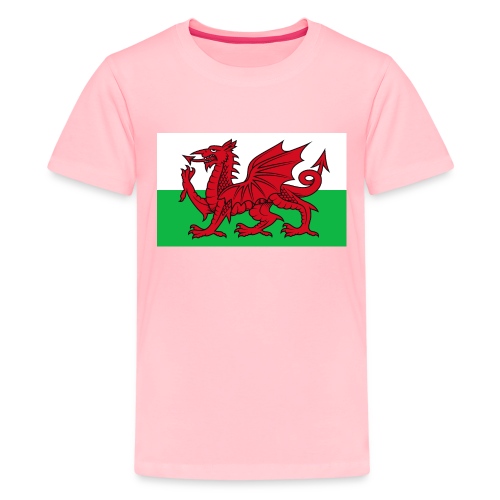 Wales Flag - Kids' Premium T-Shirt